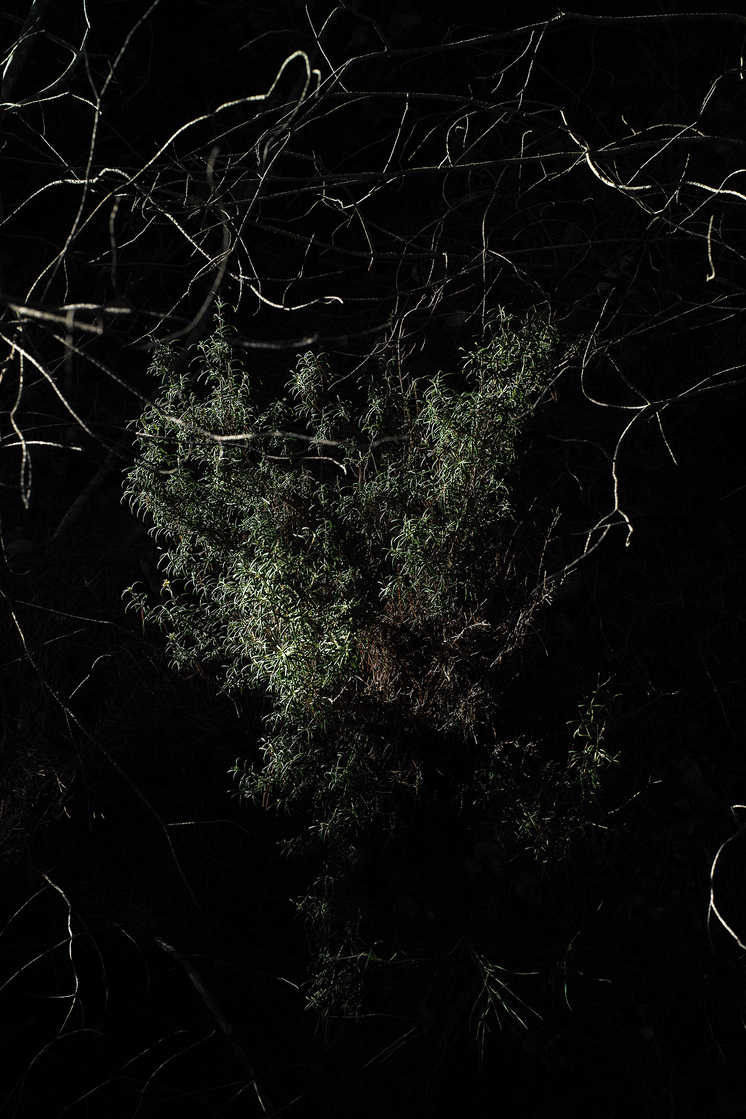 Premières matières