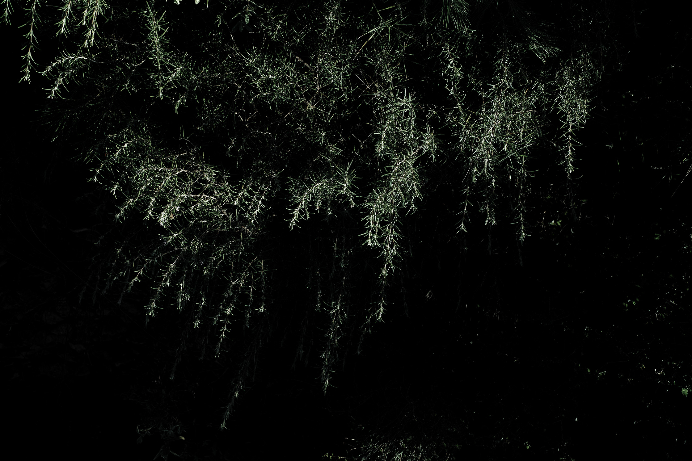 Premières matières – 3/8