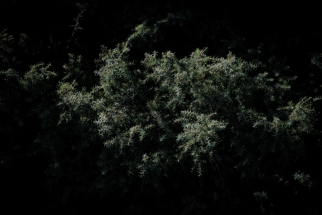 Premières matières