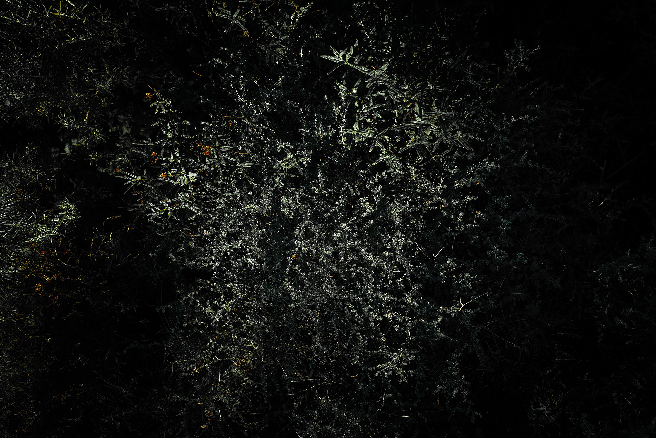 Premières matières – 5/8