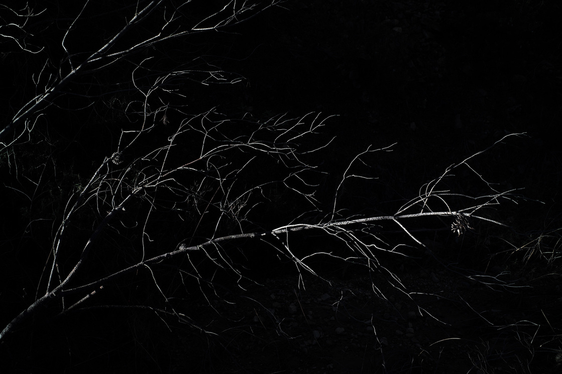 Premières matières