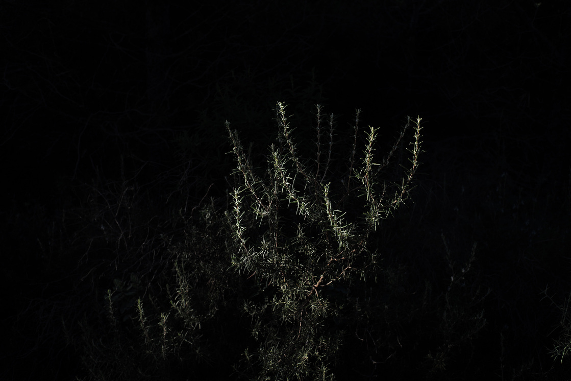 Premières matières