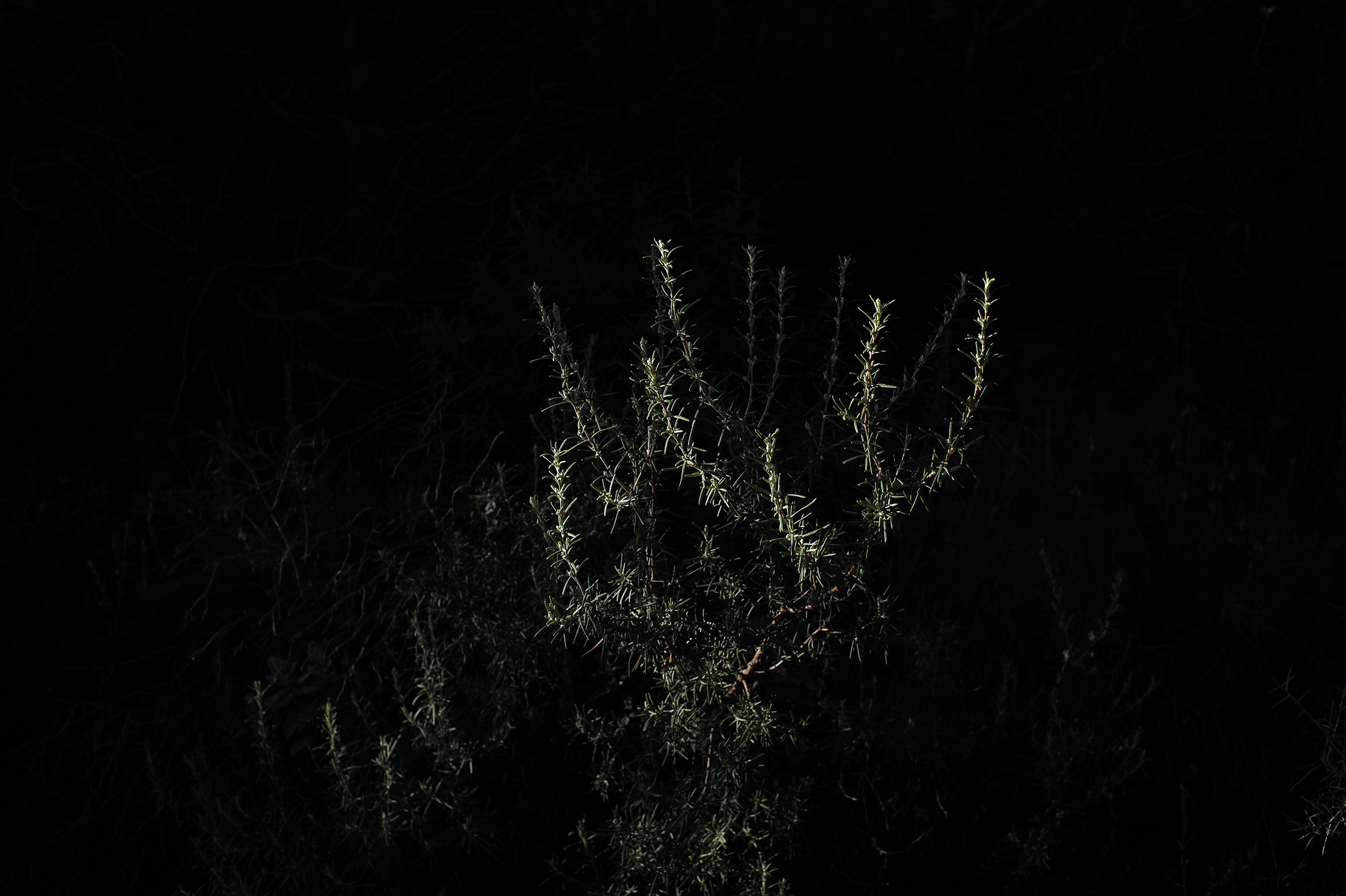 Premières matières – 7/8