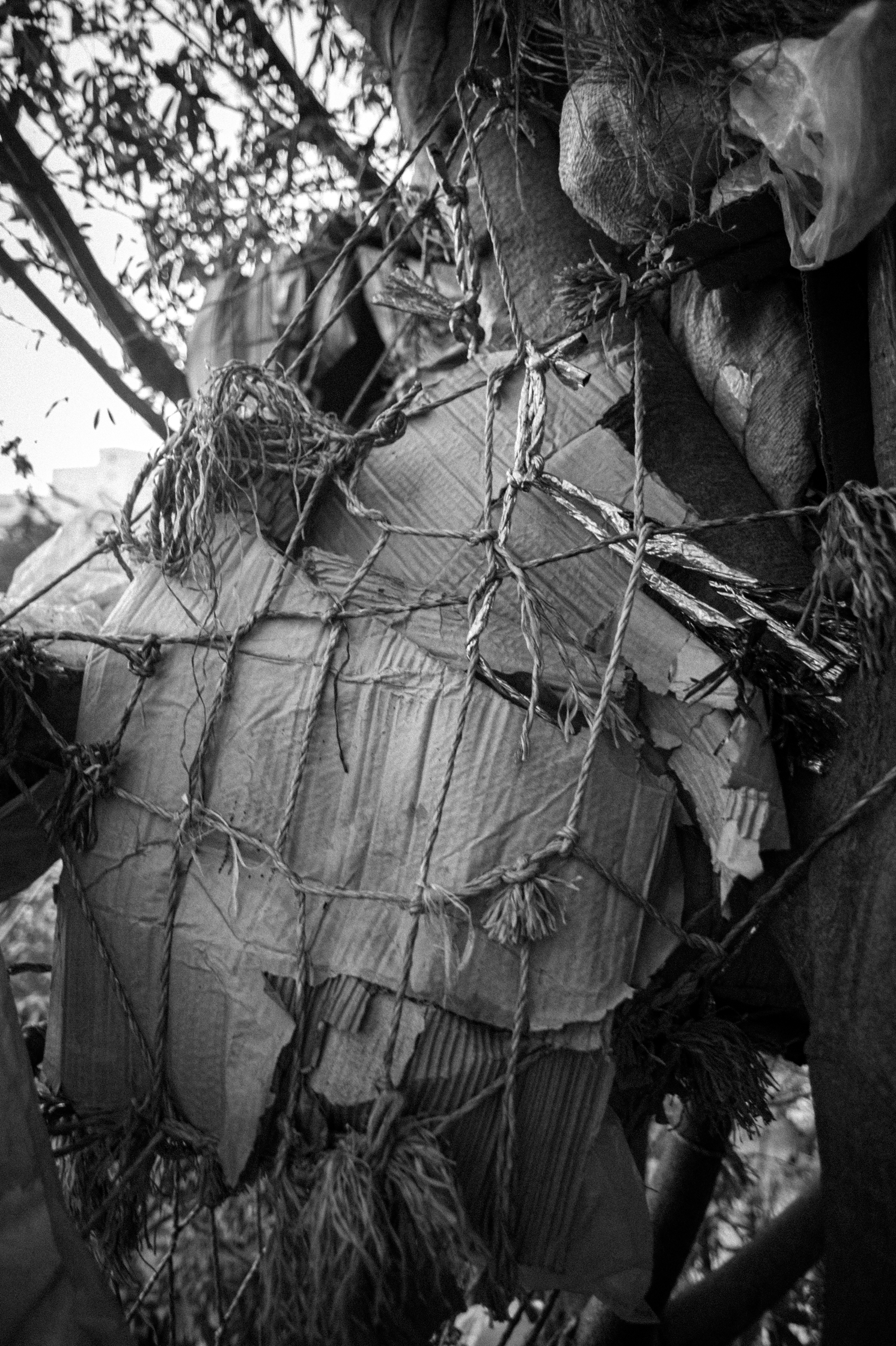 Enfants des arbres – 2/22