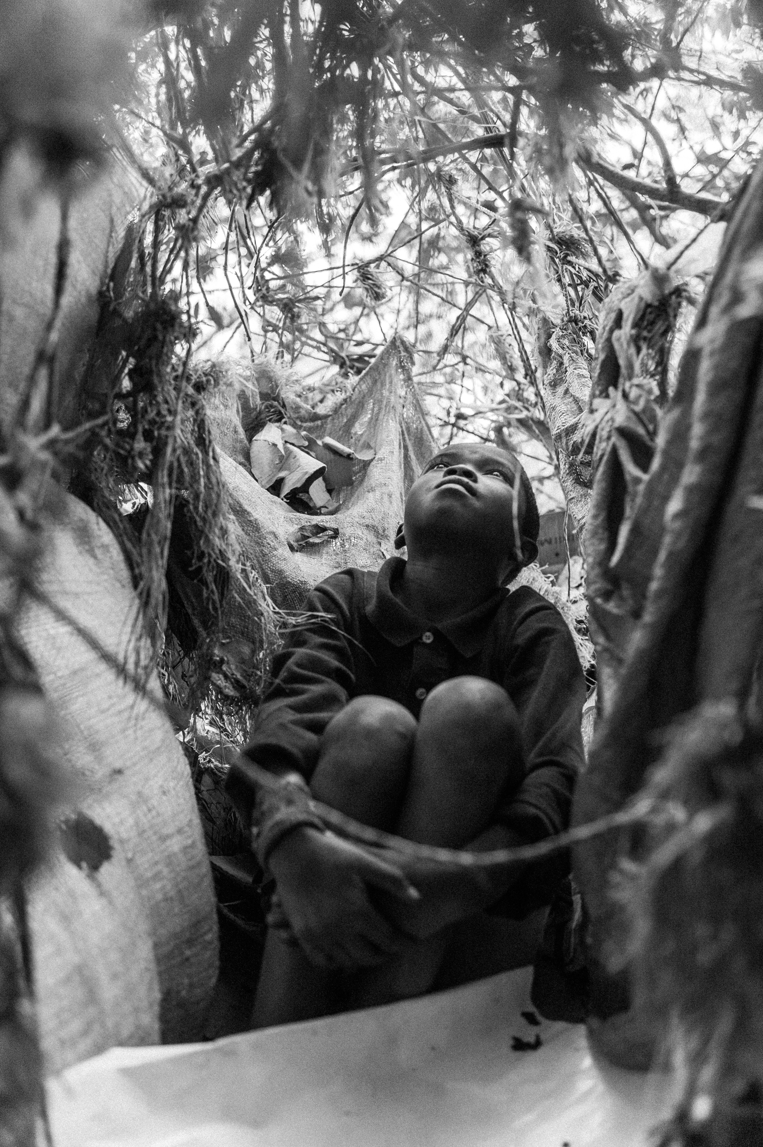 Enfants des arbres – 11/22