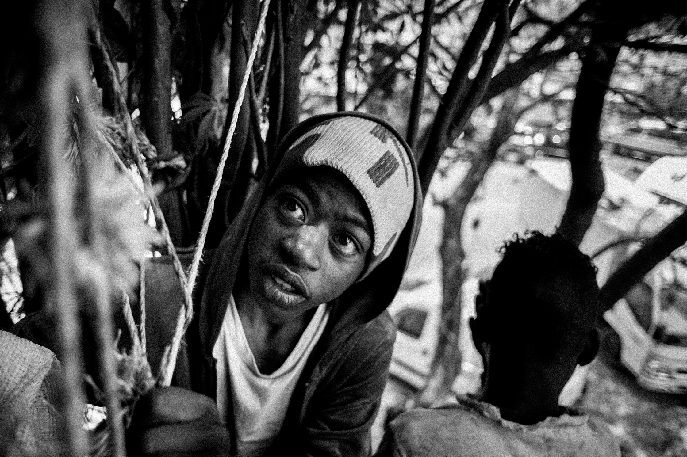 Enfants des arbres – 12/22