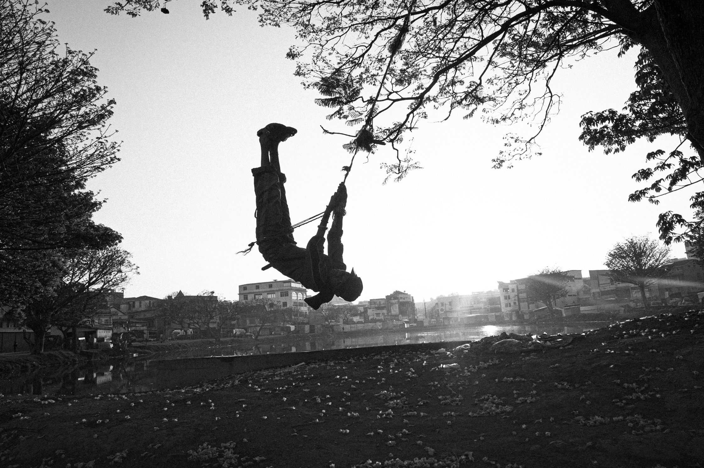 Enfants des arbres – 13/22