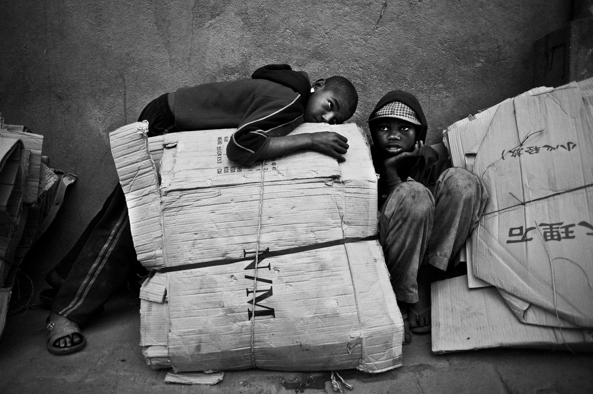 Enfants des arbres – 18/22